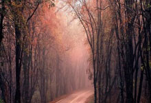 C罗职业生涯点球命中率：37到38岁100%最高，39到40岁80%.