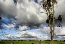 爱德华兹30分库里23分 森林狼大胜勇士4连胜.