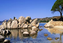 爱德华兹30分库里23分 森林狼大胜勇士4连胜.